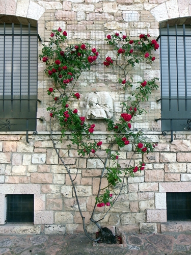 IMGP0969